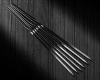 6 Skewers
